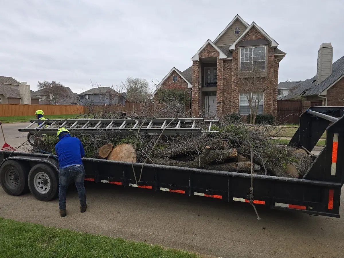 Expert Lot Clearing with proper safety equipment in Eek